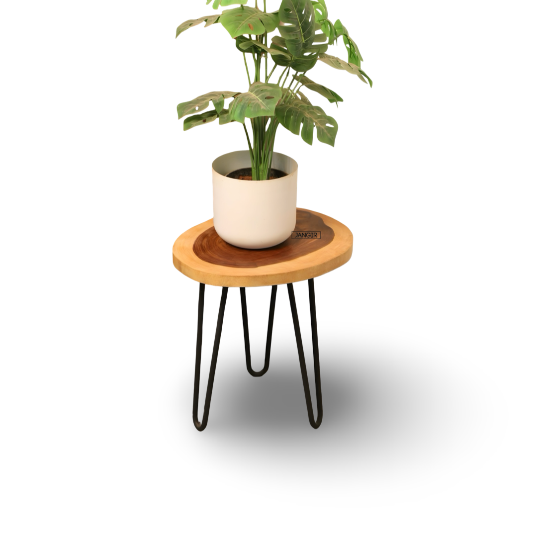 Enhance your home with our Wire Live Edge Side Table—durable sheesham wood and metal legs. Shop now for timeless elegance!