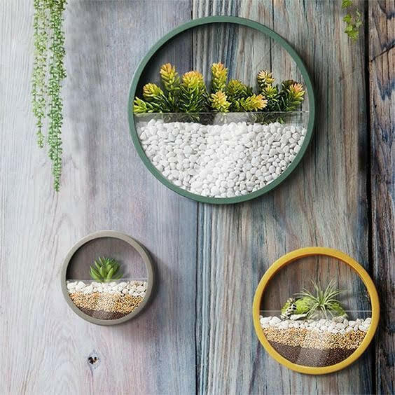 Metal wall terrarium planter.