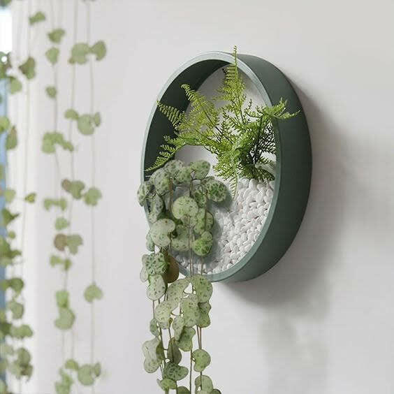 Metal wall terrarium planter.