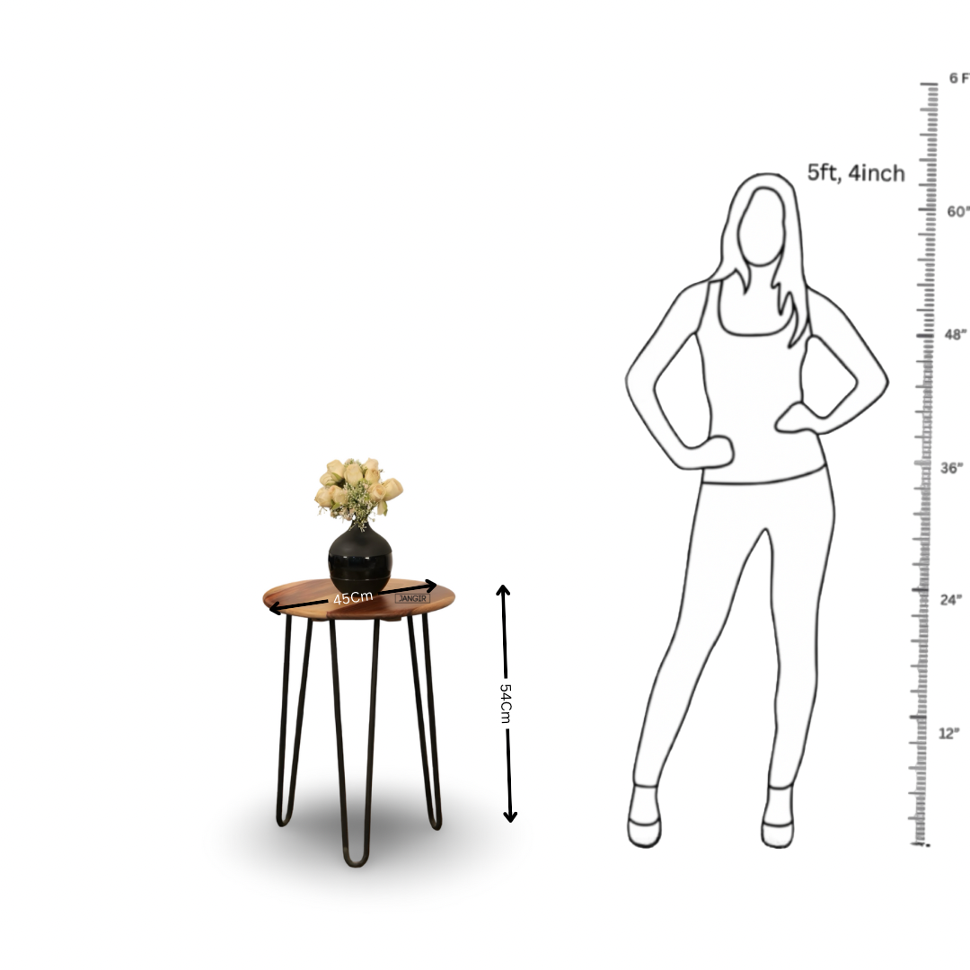 Discover the Wire Side Table with sheesham wood top and metal legs. Enhance your living space—shop now for timeless style and durability.