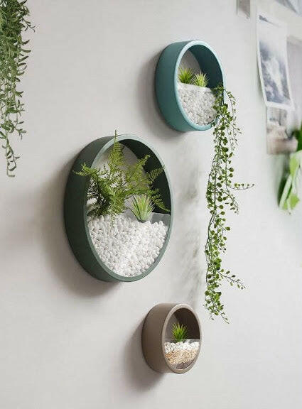 Metal wall terrarium planter.